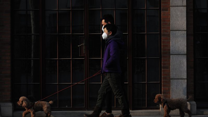 双色球走势走势图新浪 相关配图